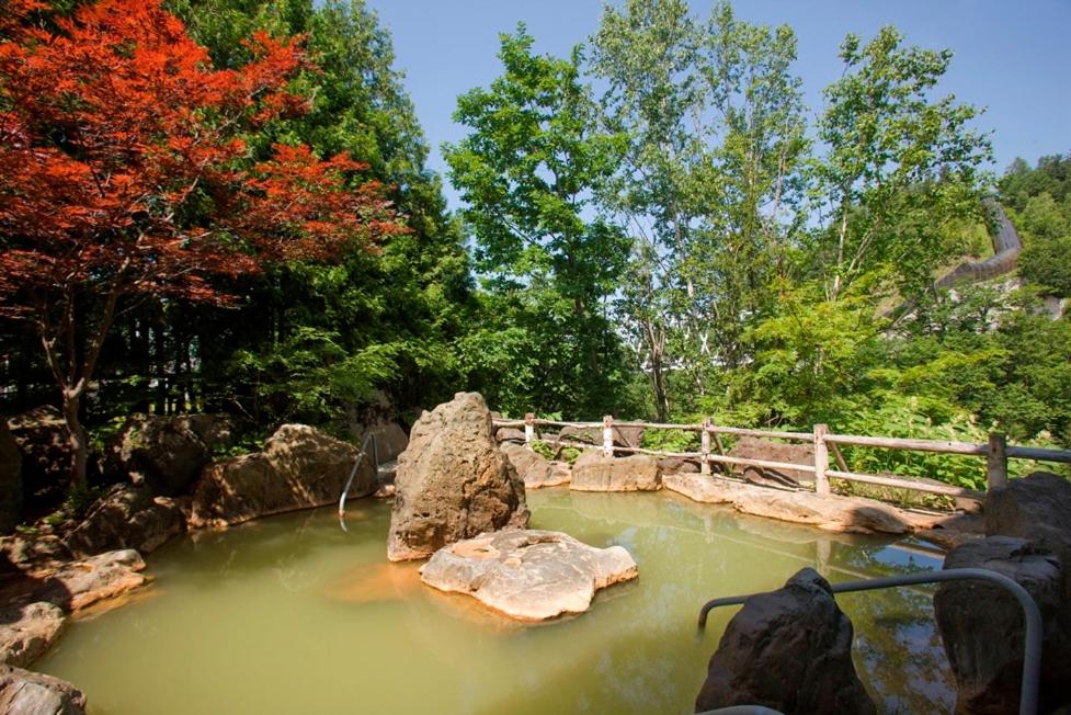 un étang dans un zoo avec un rocher dans l'eau dans l'établissement 碧の美ゆゆaonobi yuyu旧湯元白金温泉ホテル, à Biei