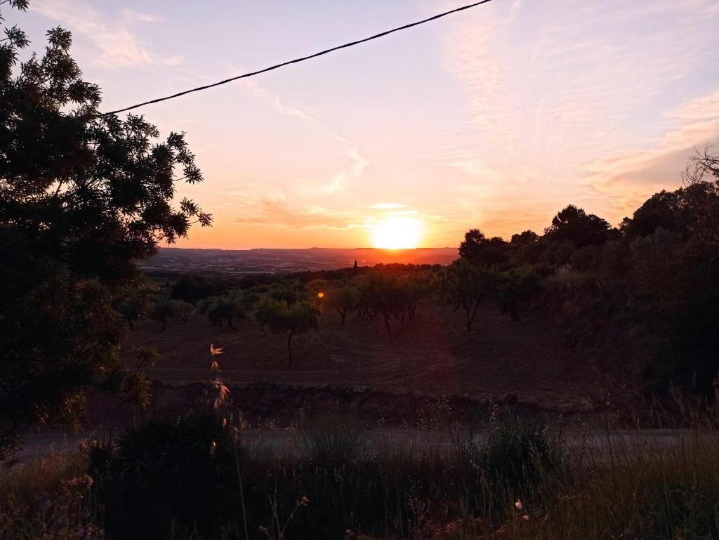 Casa Maro Prenafeta 8