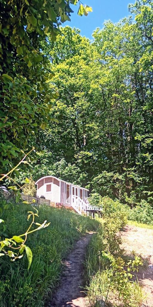 un train assis au milieu d'une forêt dans l'établissement Gîtes insolites proche Nancy, à Marbache