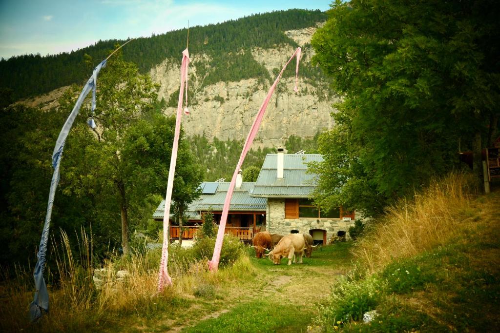 Consulat des Elohim chez Allan et Lili-Peace