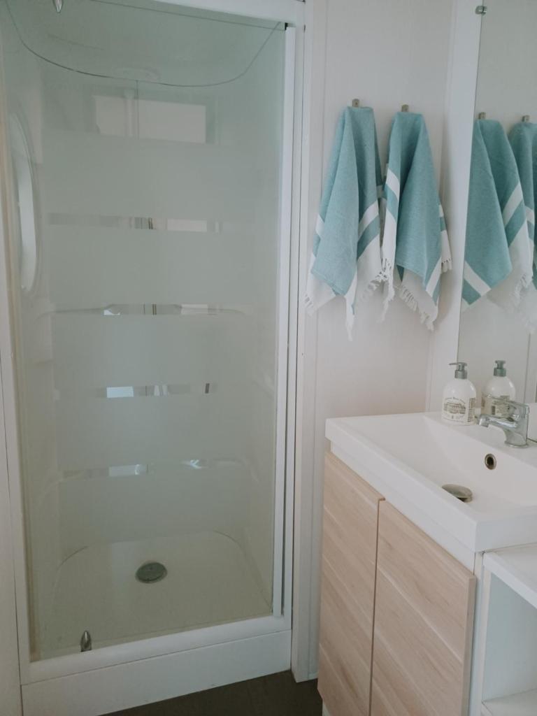une salle de bain avec douche et lavabo dans l'établissement Camping la dune blanche, à Camiers