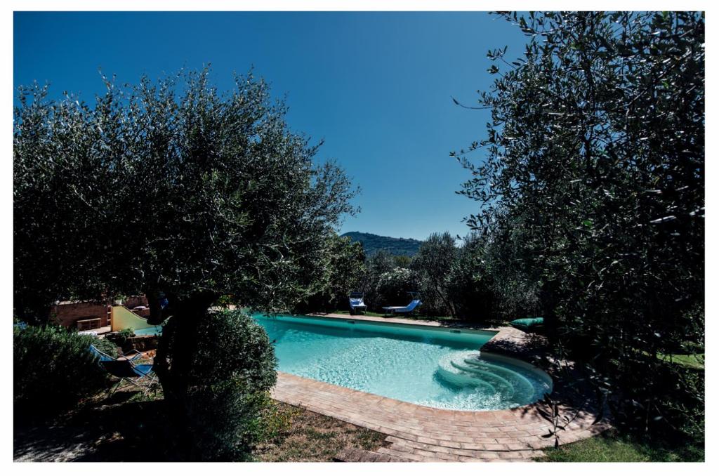 - une piscine dans une cour arborée dans l'établissement La Poventa, à Cortone