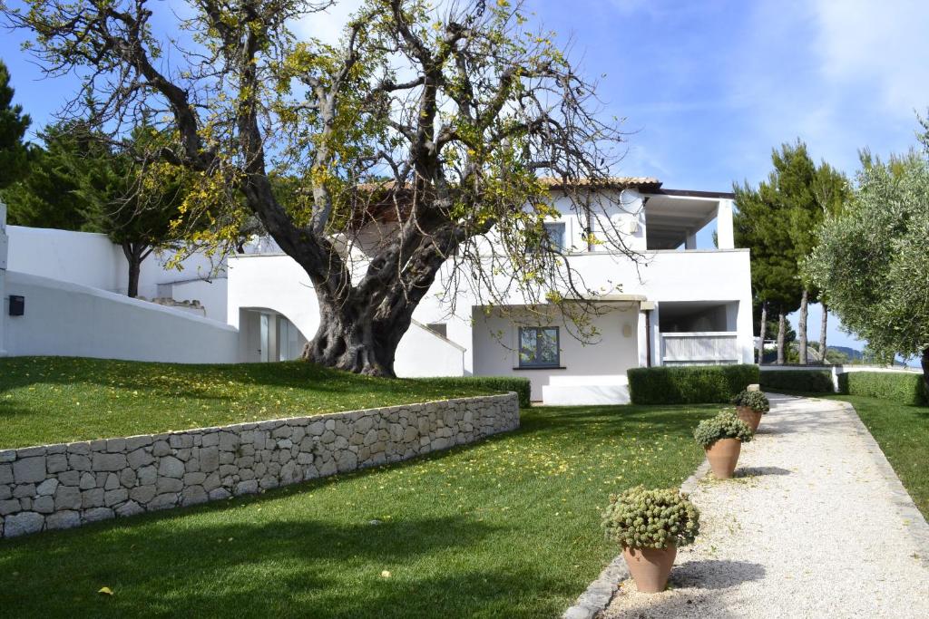 une maison blanche avec un arbre dans la cour dans l'établissement La Locanda Del Carrubo, à Mattinata