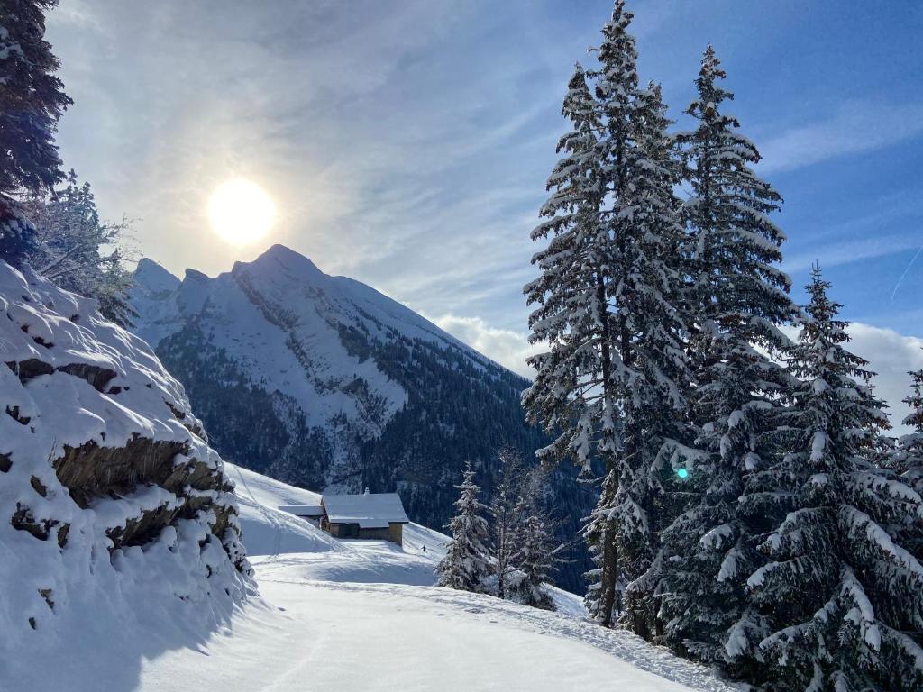 une piste de ski enneigée avec une montagne en arrière-plan dans l'établissement Appartement cosy au pied des pistes, à La Clusaz 20 autres photos