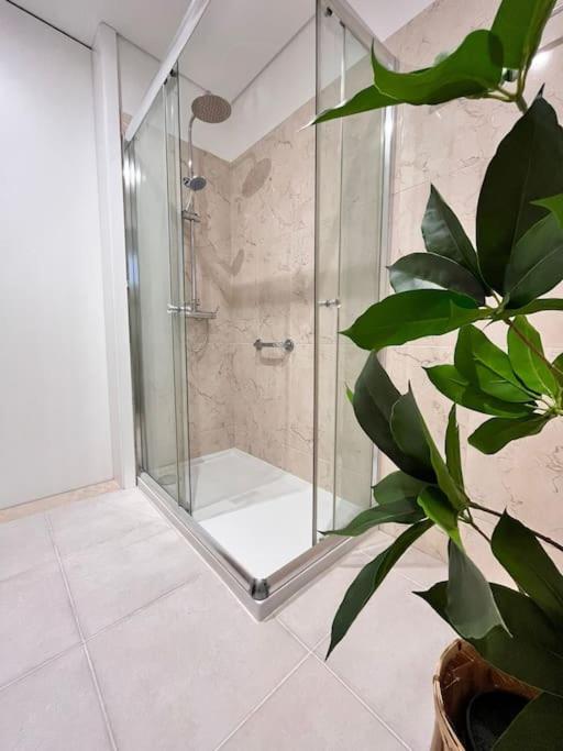 Cunha's Apartment - city center 3