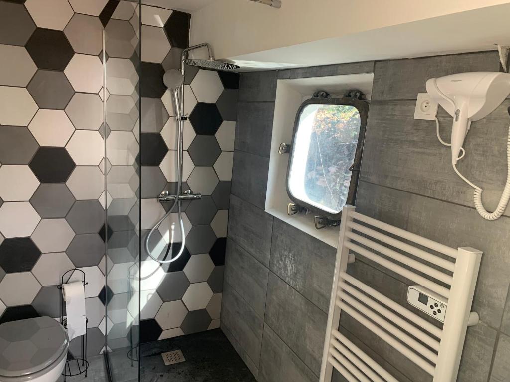 La salle de bains est pourvue d'une douche, d'une fenêtre et de toilettes. dans l'établissement chambres dans peniche un air de vacances, à Toulouse