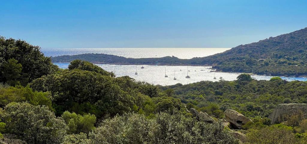 une vue d'une rivière avec des bateaux dans l'eau dans l'établissement Camping Kévano Plage, à Pianottoli-Caldarello