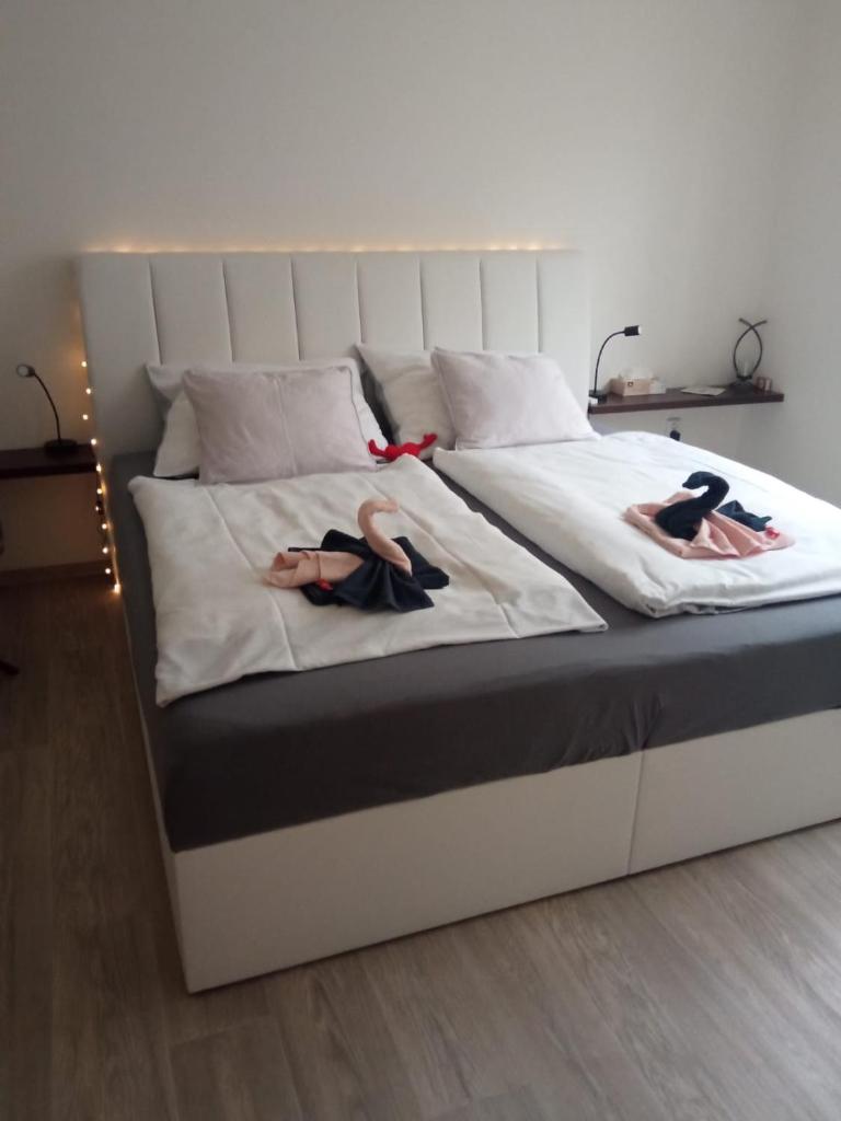 Academic Apartment Brno (AAB) 2+1 (62 m²) 2