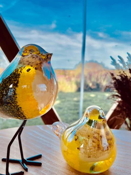 deux oiseaux de verre assis au-dessus d'une table dans l'établissement Dôme insolite Cèdre jacuzzi et petits déjeuners inclus, à Lagraulet-du-Gers 34 autres photos