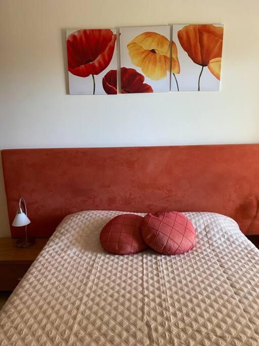 Apartamento - CERRO MAR 2