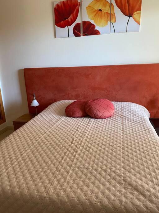Apartamento - CERRO MAR 8