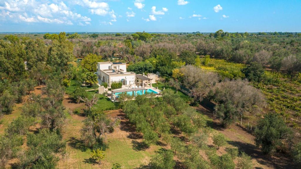 - une vue aérienne sur une maison dans les bois dans l'établissement Villa La Dolce Vita 6, Emma Villas, à Oria