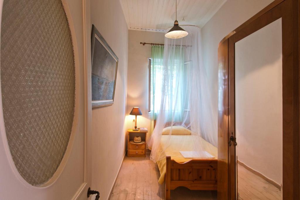 Casa Paleopolis 8