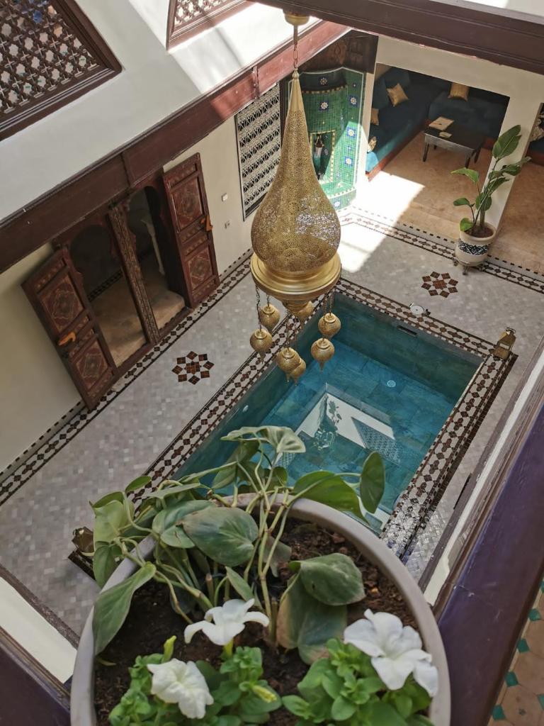 - une vue de tête sur une chambre avec une piscine et une usine dans l'établissement Riad Jolie, à Marrakech