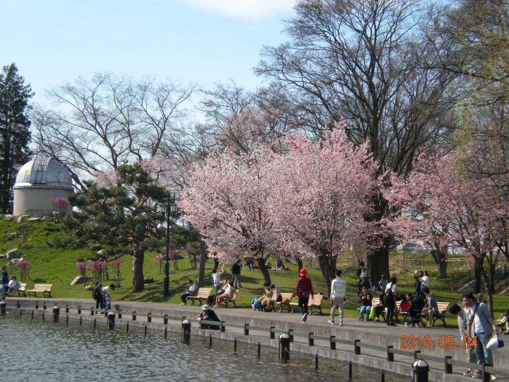 un groupe de personnes se promenant autour d'un parc avec des arbres roses dans l'établissement Mimatsuso Ryokan, à Asahikawa