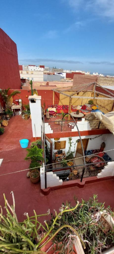 une vue sur un bâtiment avec des plantes sur un toit dans l'établissement SALAS waveclimbing company, à Sidi Ifni