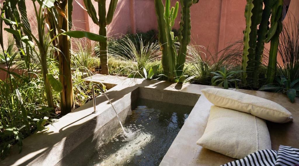 un petit étang dans un jardin avec des cactus dans l'établissement Maison Brummell Majorelle, à Marrakech
