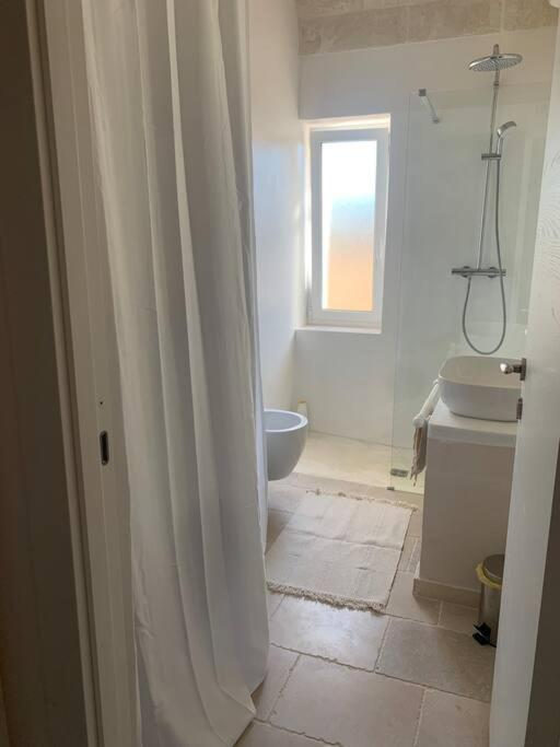 une salle de bain avec douche et toilettes et une fenêtre dans l'établissement Trullo FICOLI, à Ostuni 26 autres photos