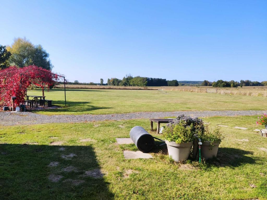 un parc avec un banc et deux plantes en pot dans l'établissement Gites les volets rouges d'Allonnes, à Allonnes