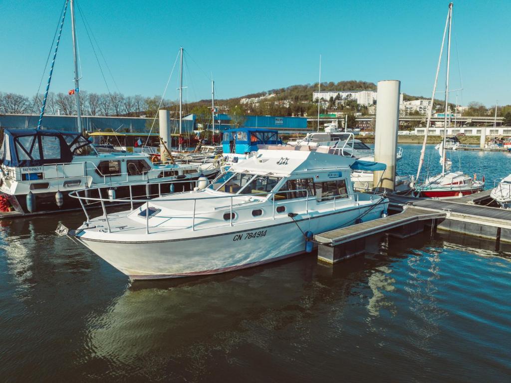 Photo de la galerie de l'établissement NO LIMIT CHARTER bateau avec parking privé proche centre-ville, à Rouen