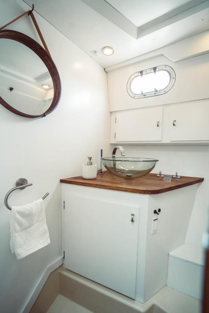 une salle de bain avec un lavabo et un miroir dans l'établissement NO LIMIT CHARTER bateau avec parking privé proche centre-ville, à Rouen