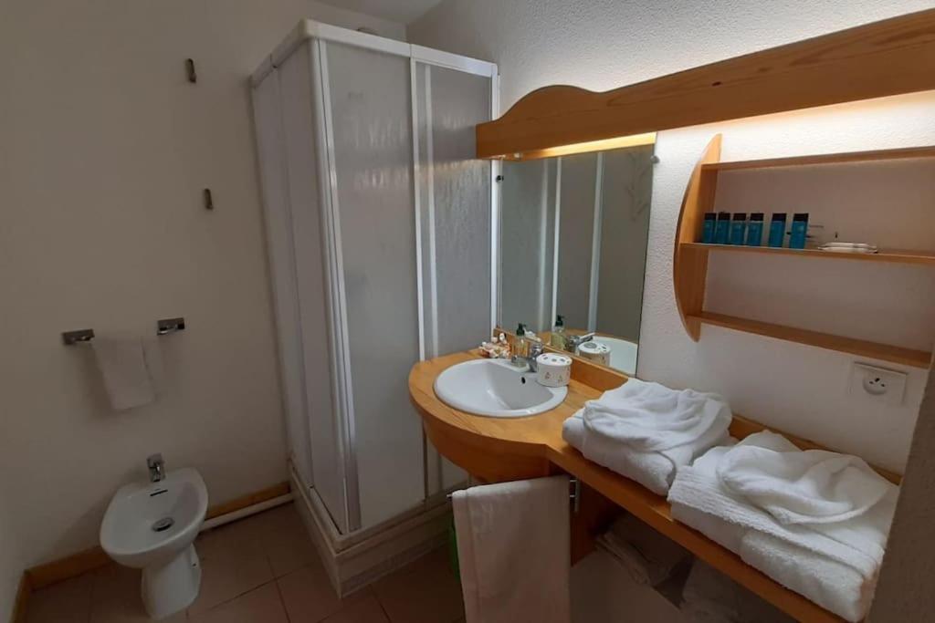 une salle de bain avec un lavabo et des toilettes dans l'établissement Briançon GRANDE TORINO SKYWAY, à Briançon