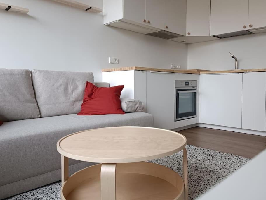 Stylish Studio in Central Vilnius II 8