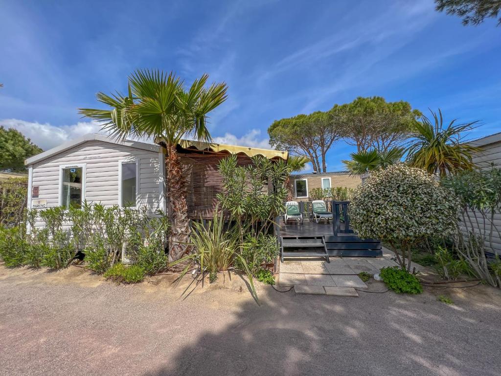 une maison avec un palmier devant dans l'établissement Sas Robrecht, à Saint-Tropez