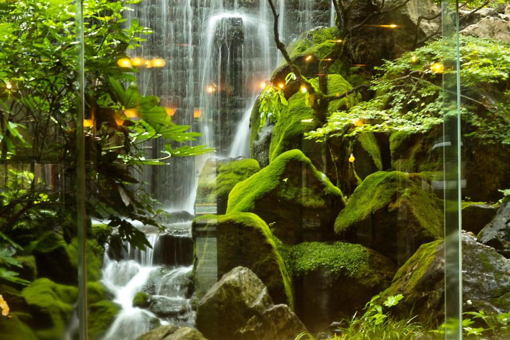 une cascade dans une forêt avec des plantes vertes dans l'établissement Tokiwa, à Yamaguchi