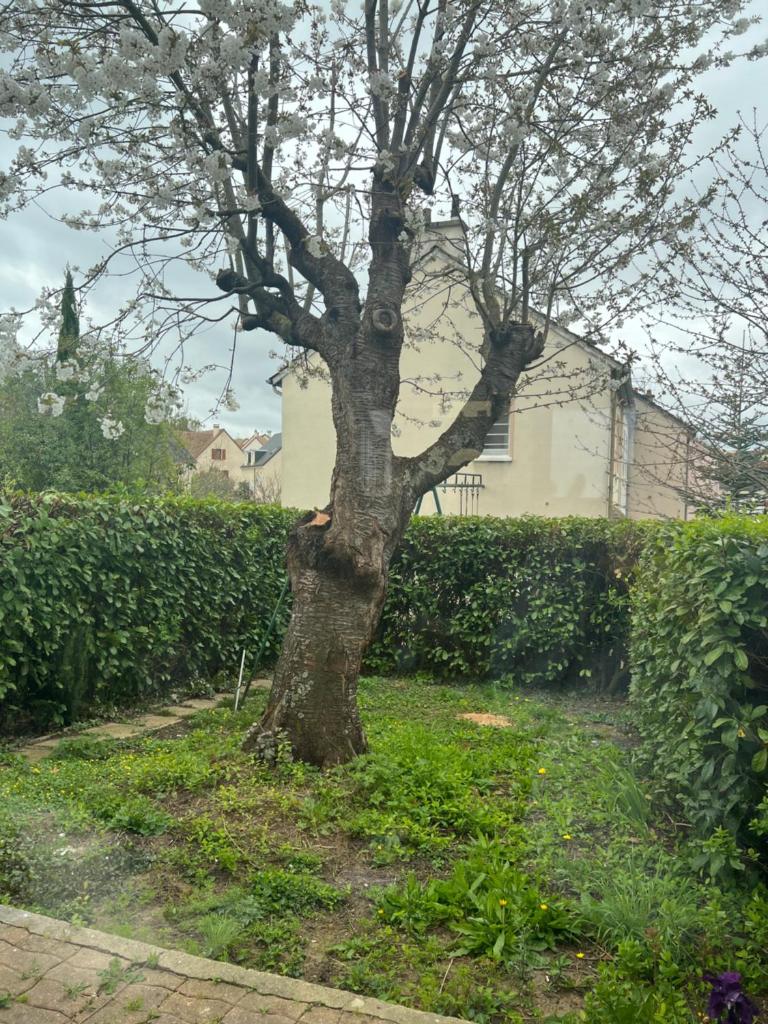 Maison familiale, quartier calme 8