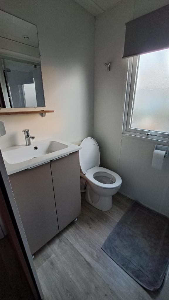 une salle de bain avec toilettes, lavabo et fenêtre dans l'établissement Mobile Home Climatisé 3 chambres à Narbonne Plage, à Narbonne-Plage
