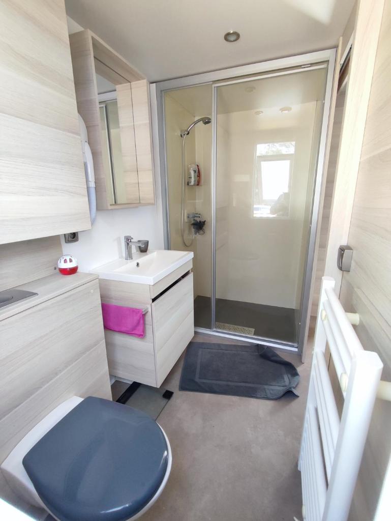 une salle de bain avec une douche, des toilettes et un lavabo dans l'établissement LUXUEUX MOBIL-HOME, à Pierrefeu-du-Var