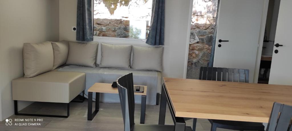 un salon avec un canapé et une table dans l'établissement Baia 1, à Drammont