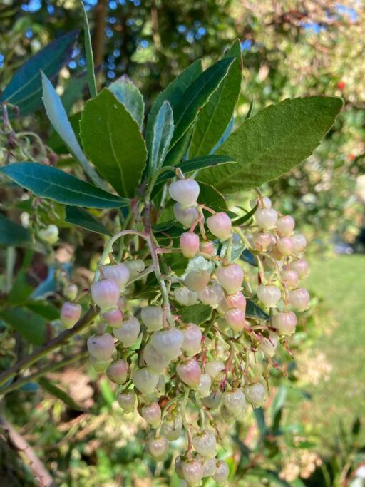 Photo de la galerie de l'établissement Holidayhome Villa Torre, à Capannori