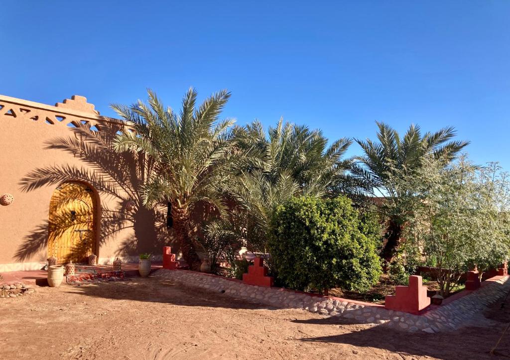 un groupe de palmiers devant un bâtiment dans l'établissement Riad Imuhar, à M'Hamid El Ghizlane