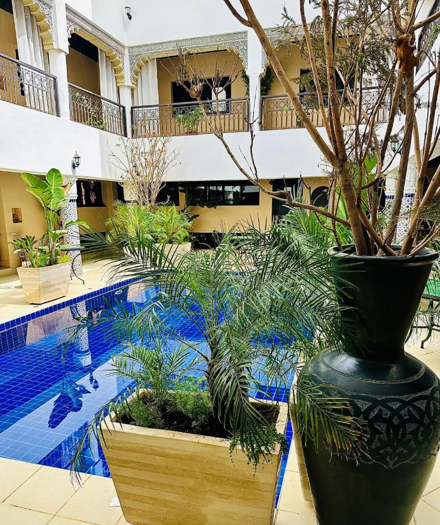 un grand vase noir avec des arbres à l'intérieur à côté d'une piscine dans l'établissement Riad Soir De Marrakech, à Marrakech