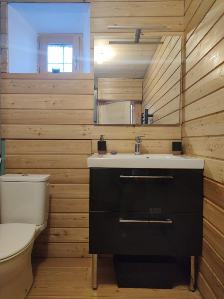 une salle de bain avec un lavabo et des toilettes dans l'établissement Les Hauts du Roux, à Abriès