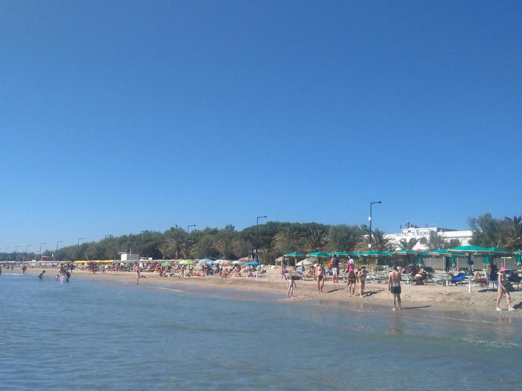 un groupe de personnes sur une plage près de l'eau dans l'établissement Hotel San Remo - All Inclusive - Fronte Mare - Spiaggia Privata, à Martinsicuro