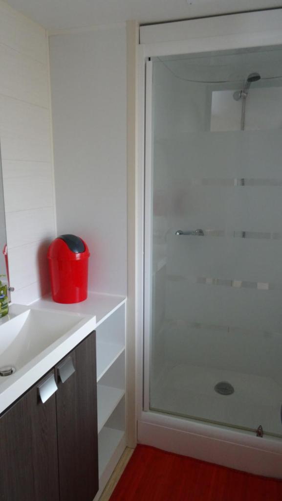 La salle de bains est pourvue d'une douche, d'un lavabo et d'un comptoir. dans l'établissement Le charme du Bassin d Arcachon en Mobil Home climatisé, à Arès
