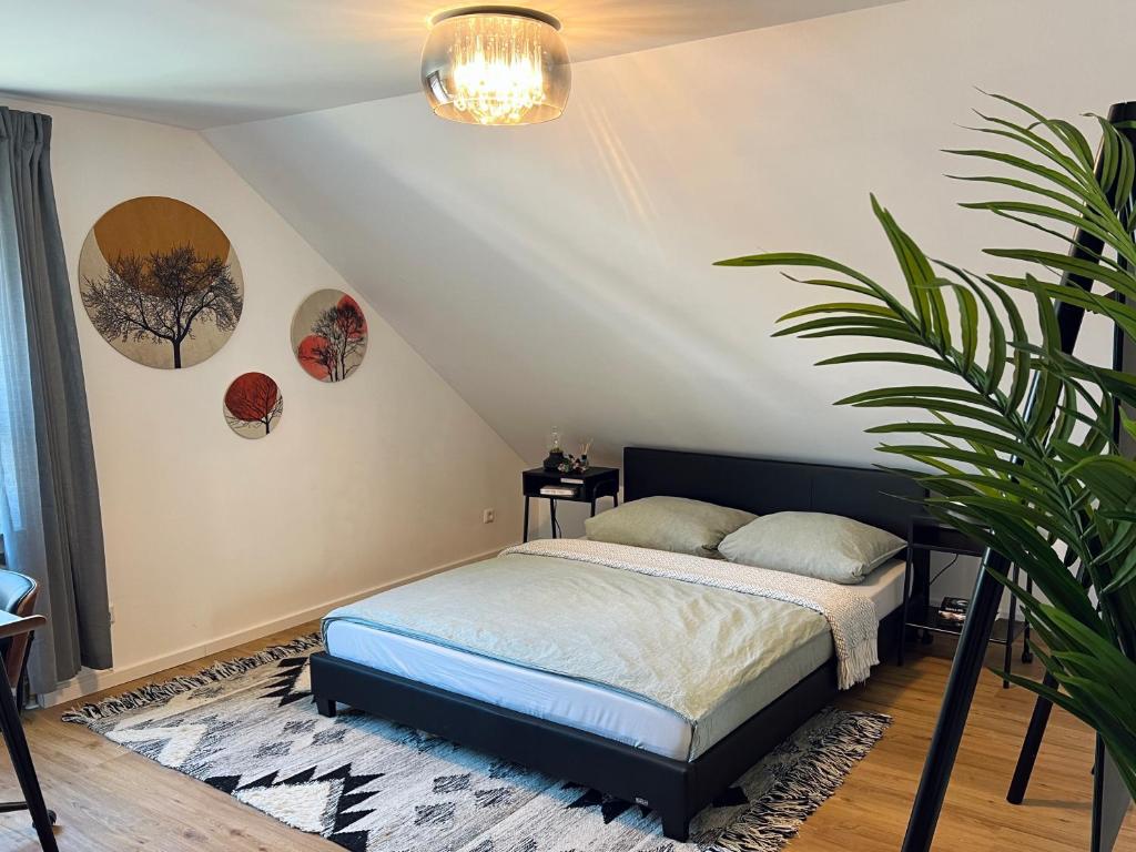 TRIMOSA - Apartments & Homes 2