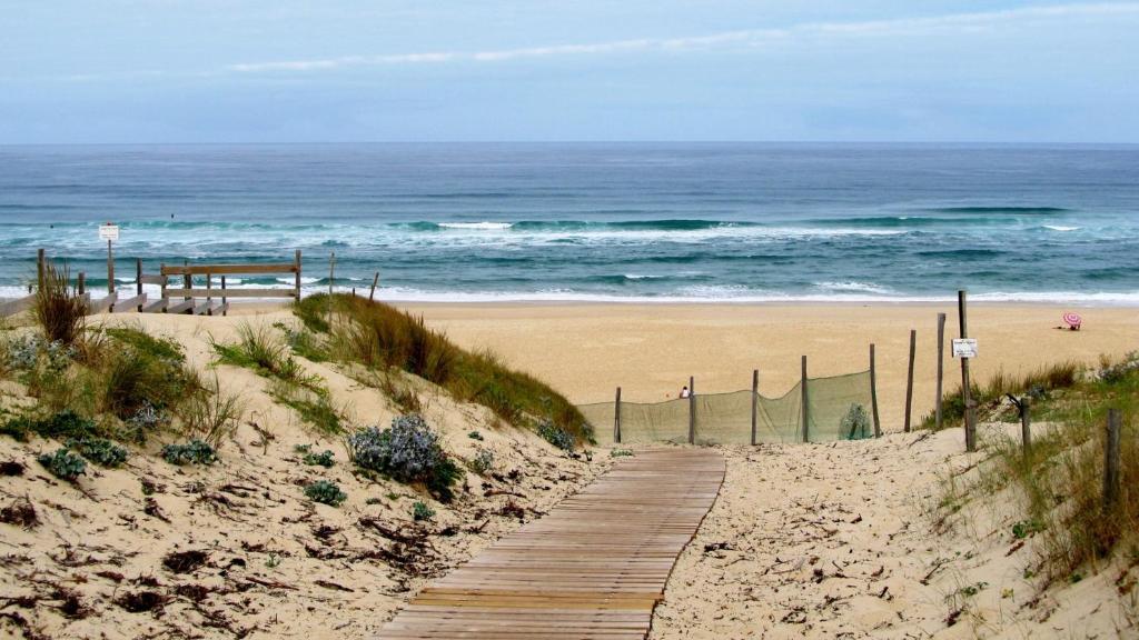 un chemin en bois menant à une plage avec l'océan dans l'établissement Sbvacances TOUT CONFORT 2ch et 1sdb, environnement CALME et VERDOYANT dans camping 4 étoiles, à Saint-Julien-en-Born