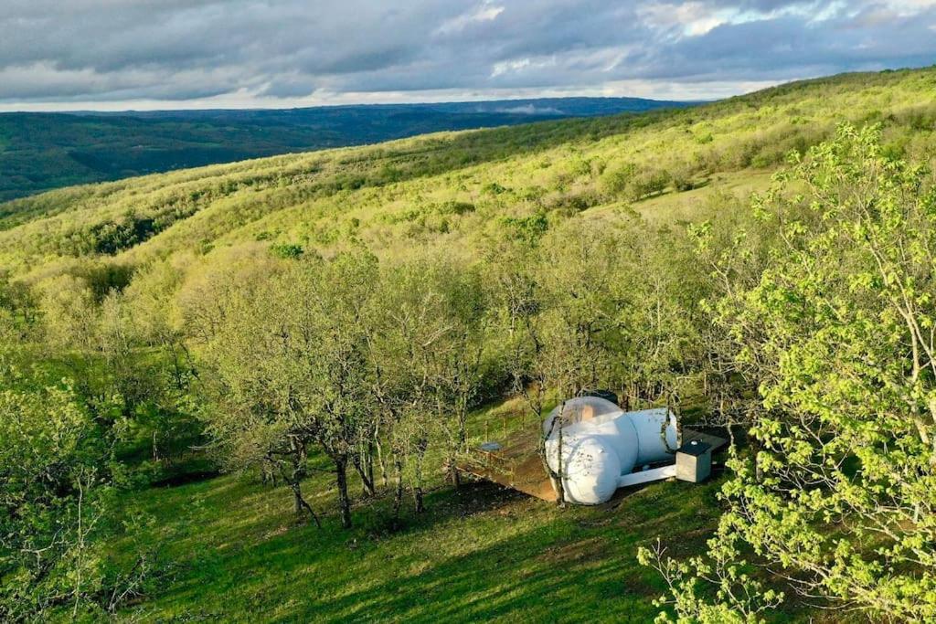 un objet posé au sommet d'un champ avec des arbres dans l'établissement Fun'ambulle, à Féneyrols