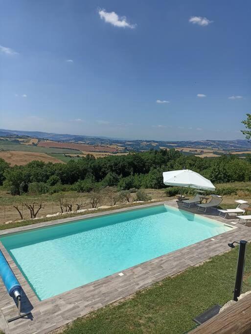 une grande piscine avec un parasol et des chaises dans l'établissement Casale dei 3 galli, à Configni