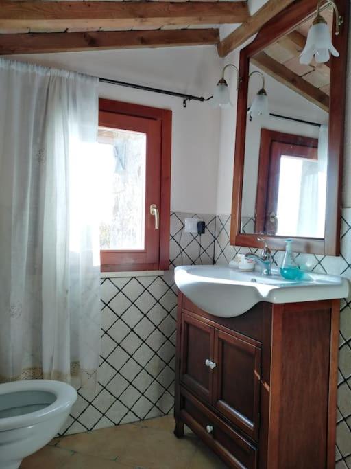 une salle de bain avec un lavabo, des toilettes et un miroir dans l'établissement Casale dei 3 galli, à Configni
