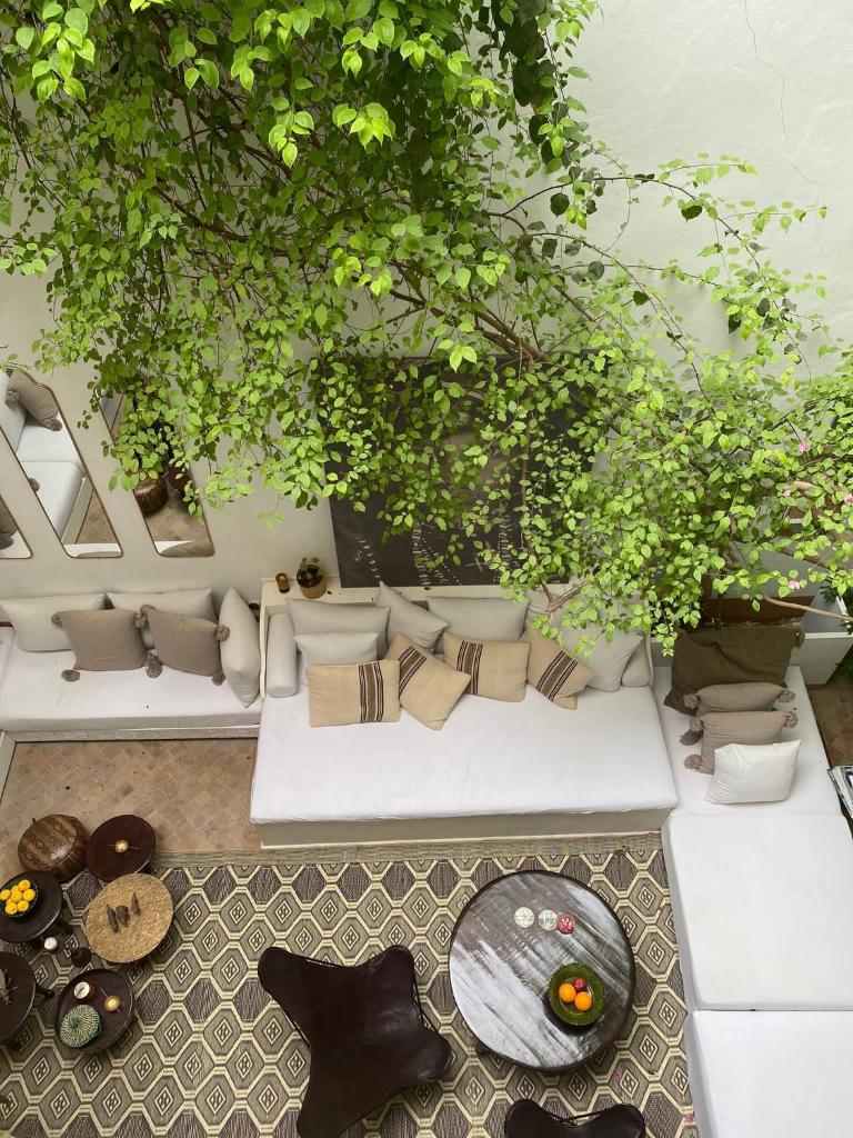 un salon avec des canapés blancs et des plantes dans l'établissement Riad Wabisabi, à Marrakech