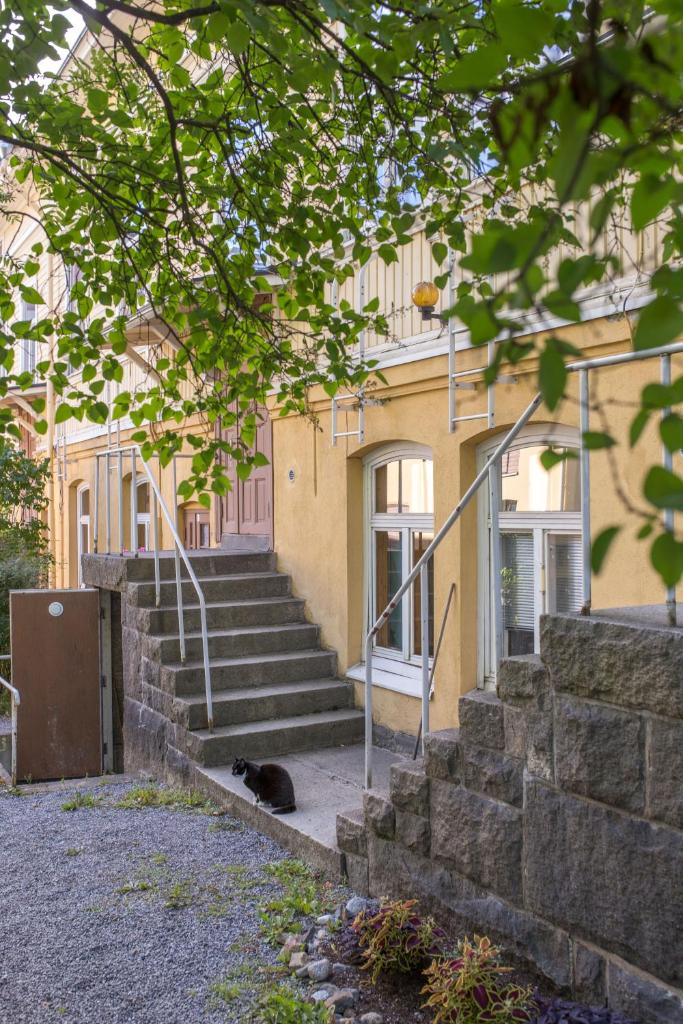 Kodikas Studio 6