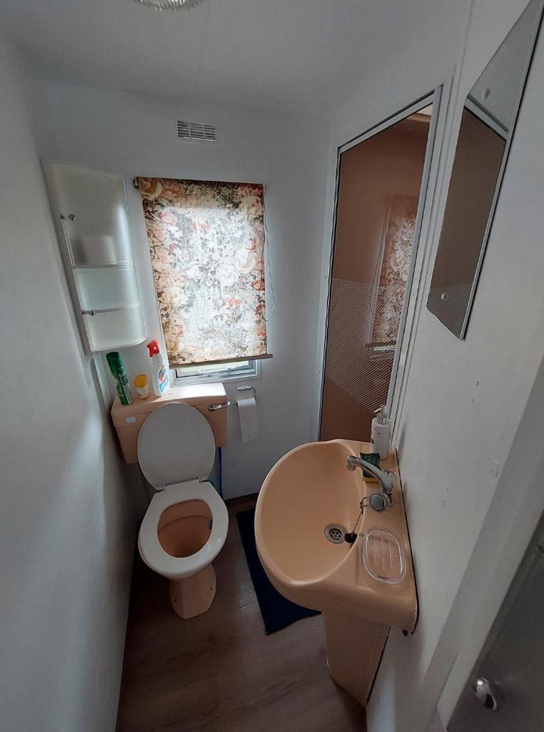 une petite salle de bain avec toilettes et lavabo dans l'établissement Charmant mobilhome au camping La Lande, à Mimizan