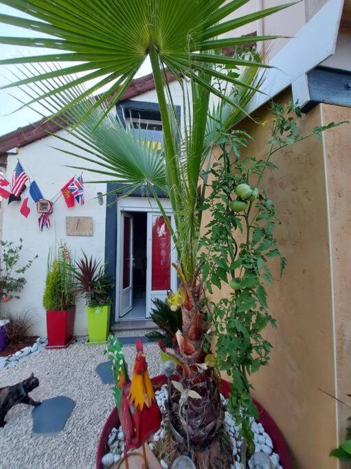 Au Ch'ti Marnais. Gîte au cœur des vignes. 8