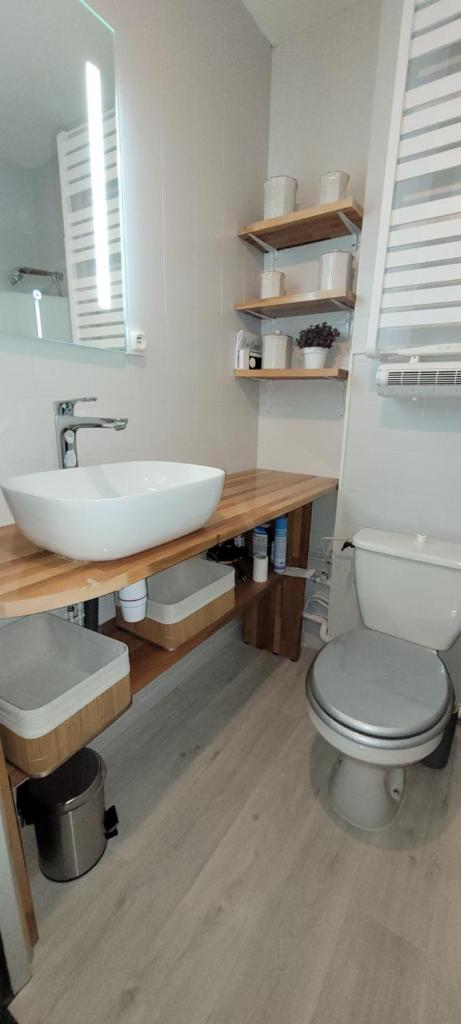 une salle de bain avec un lavabo blanc et des toilettes dans l'établissement Les Bottières 73300 T3 50m2 4 à 6 pers, à Fontcouverte
