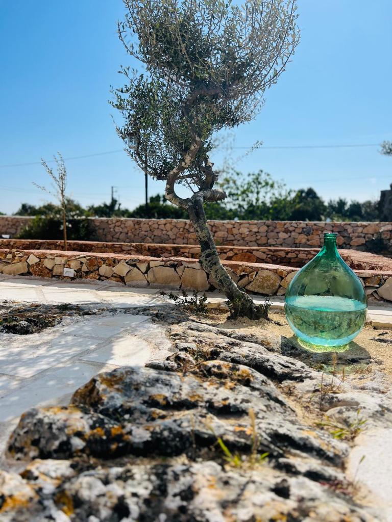 un vase en verre posé sur le sol à côté d'un arbre dans l'établissement I Trulli di Giorgia, à Torre Suda